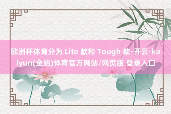 欧洲杯体育分为 Lite 款和 Tough 款-开云·kaiyun(全站)体育官方网站/网页版 登录入口