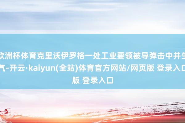 欧洲杯体育克里沃伊罗格一处工业要领被导弹击中并生气-开云·kaiyun(全站)体育官方网站/网页版 登录入口